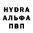 A-PVP СК КРИС murmelad mur
