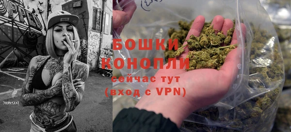 индика Ладушкин